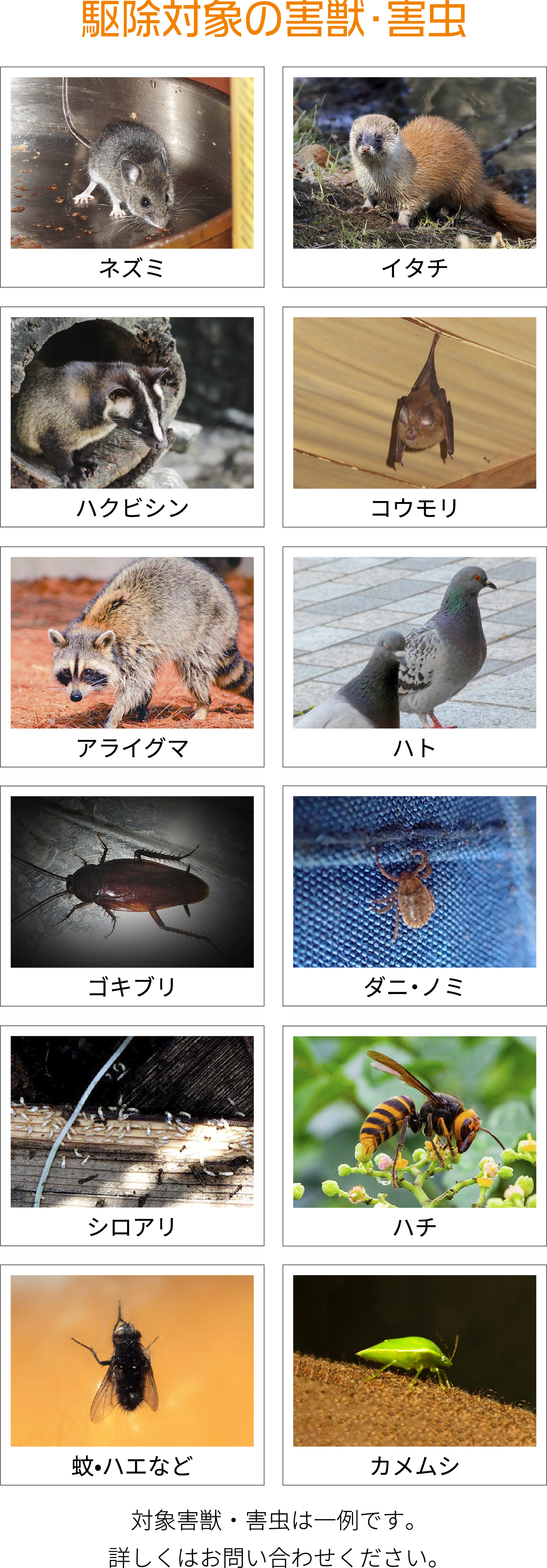 駆除対象の害獣・害虫
